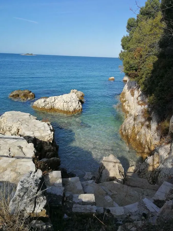 Ferienwohnung App Roko 2 Poreč 0*,